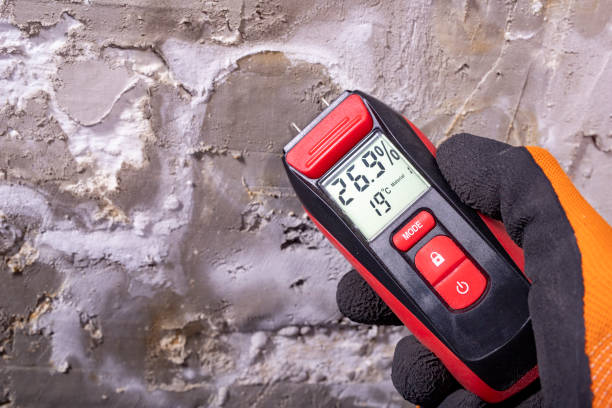 Best Affordable Mold Removal  in Mount Ephraim, NJ