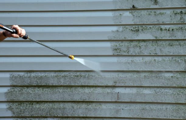 Mold Removal Process in Mount Ephraim, NJ